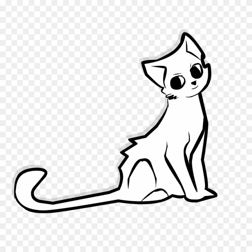 Black Cat Kitten Polydactyl Cat Cli