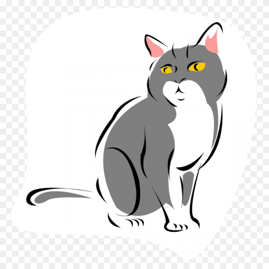 Black Cat Kitten Polydactyl Cat Cli