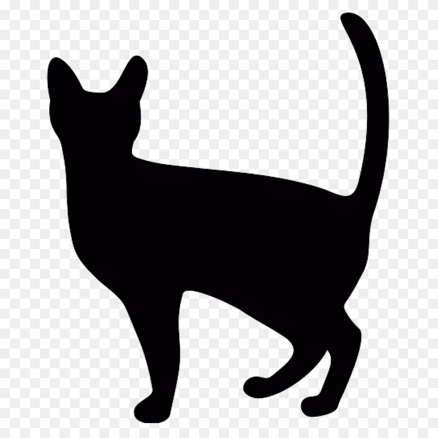 Black Cat Kitten Polydactyl Cat Cli