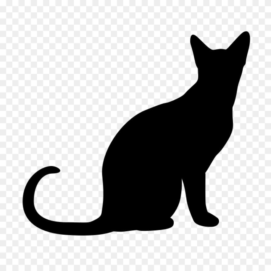 Black Cat Kitten Polydactyl Cat Cli