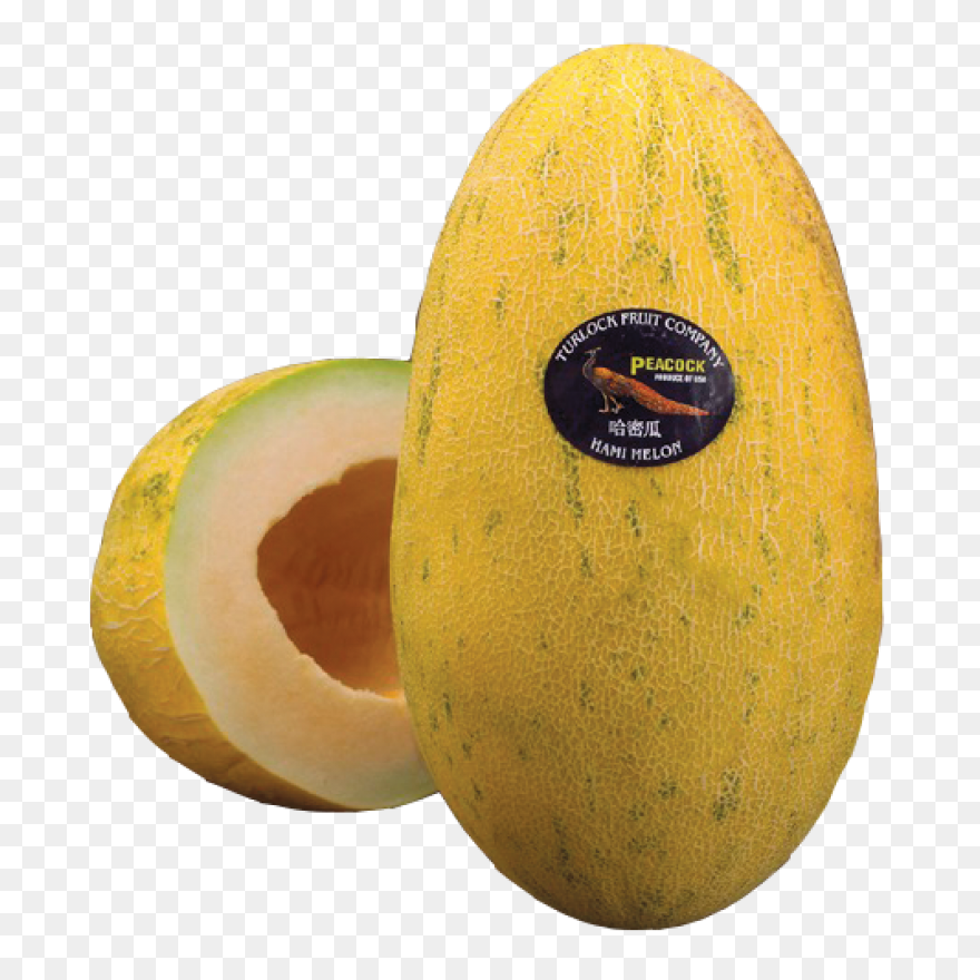 Cantaloupe Melon Png | Png All