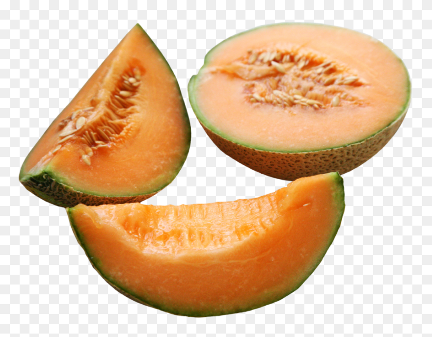 Cantaloupe Melon Png | Png All