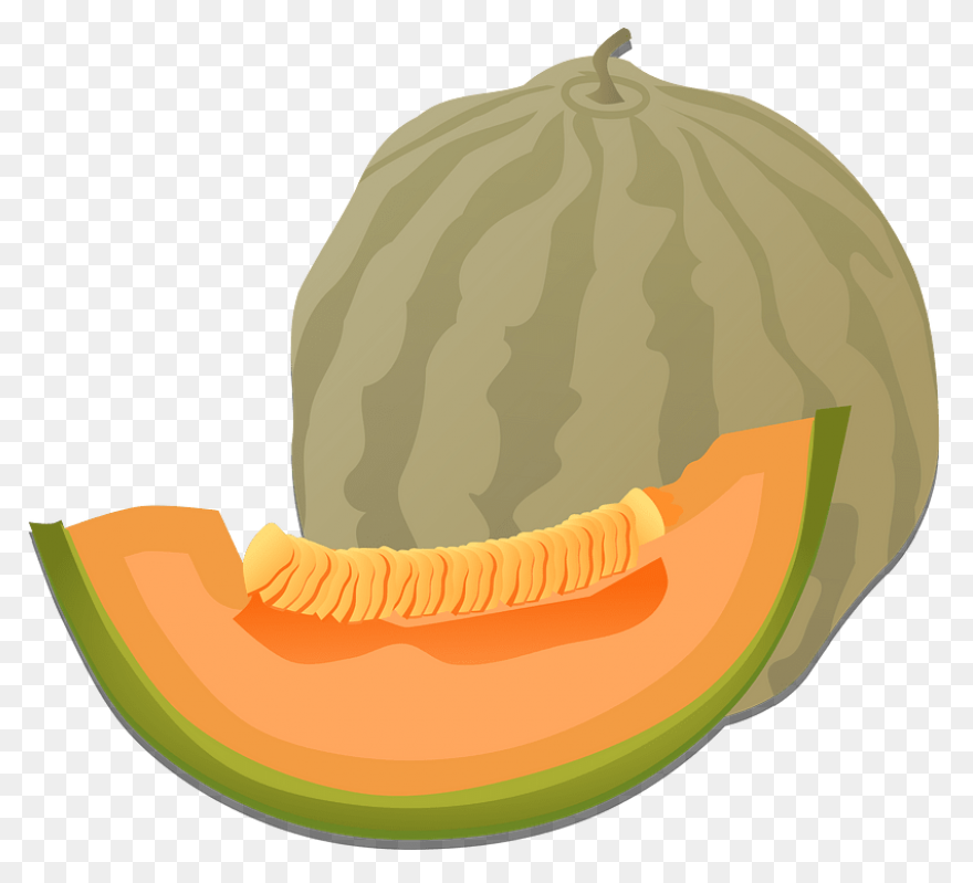 Cantaloupe Melon Png | Png All