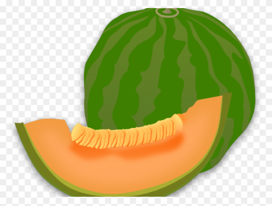 Cantaloupe Melon Png | Png All