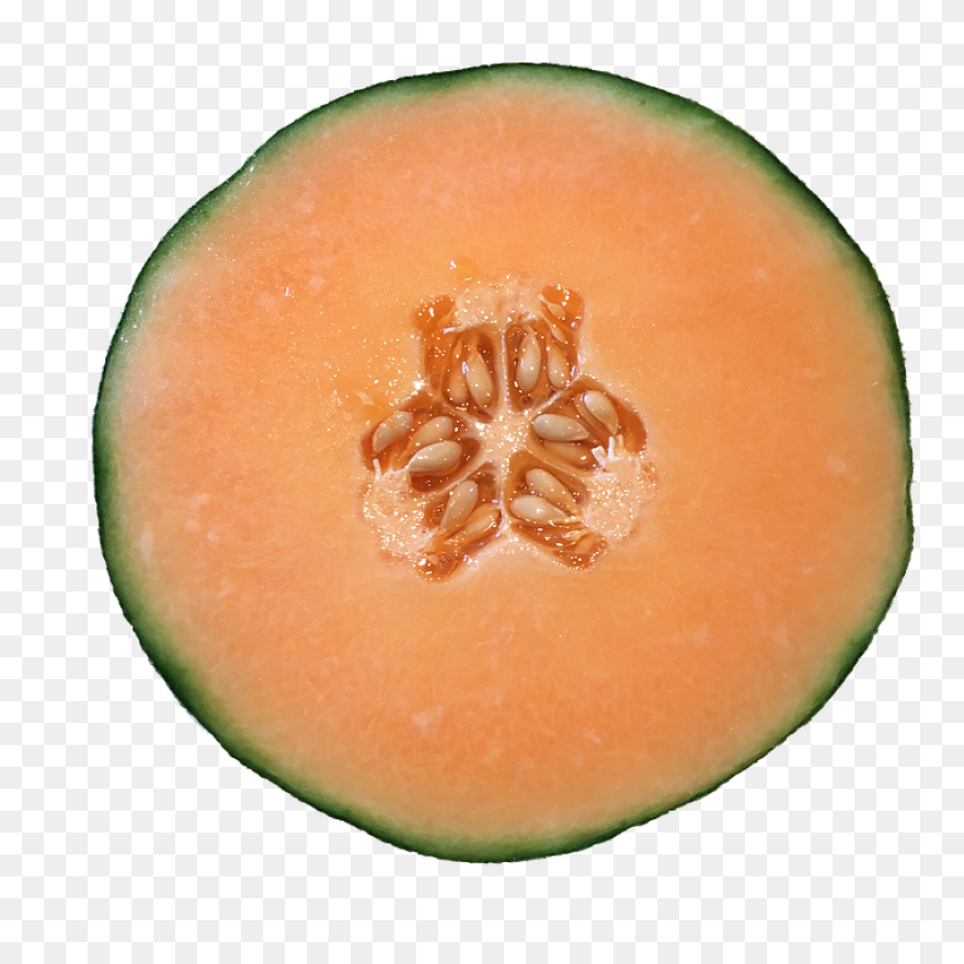 Cantaloupe Melon Png | Png All