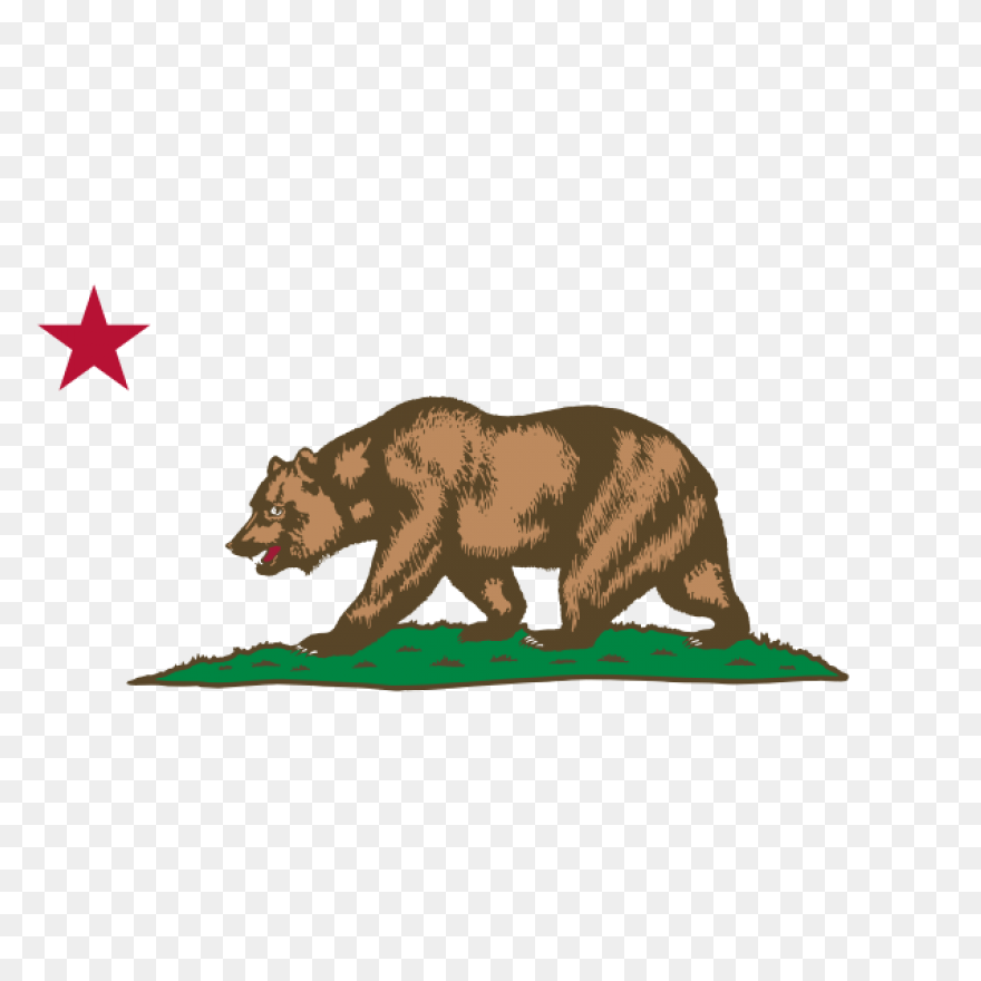 Download Hd Bear Clipart - Grizzly 