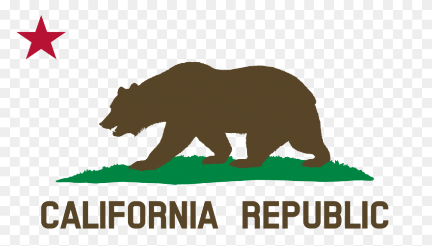 Download Hd Bear Clipart - Grizzly 