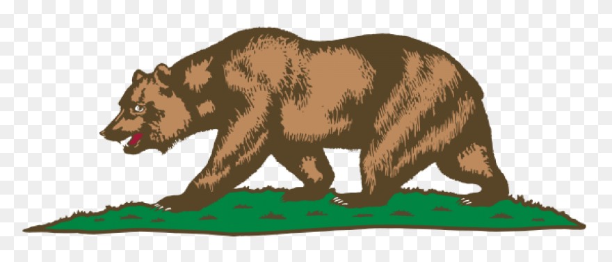 Download Hd Bear Clipart - Grizzly 