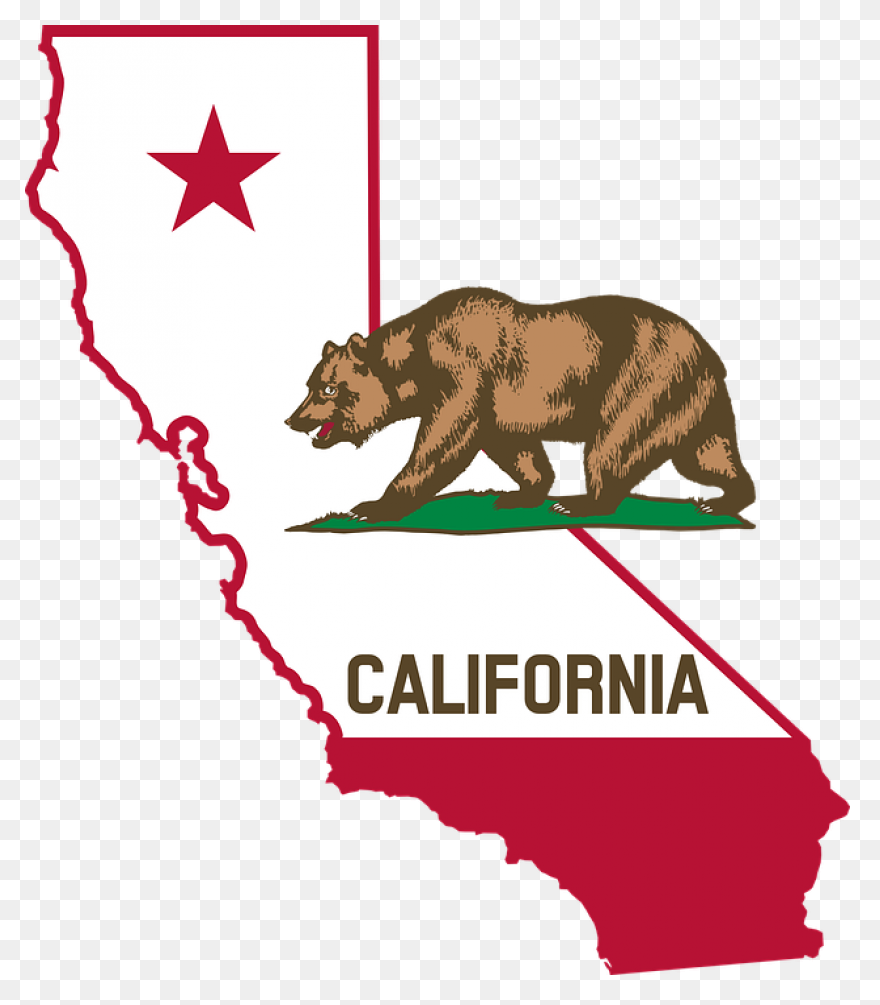 Download Hd Bear Clipart - Grizzly 