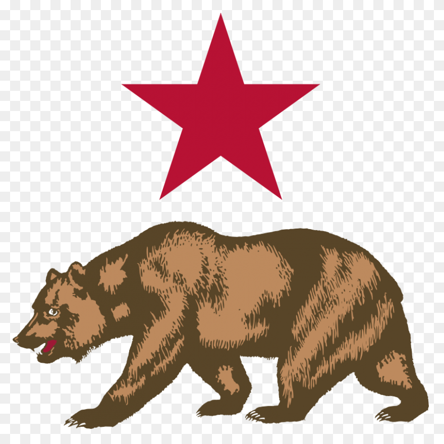 Download Hd Bear Clipart - Grizzly 