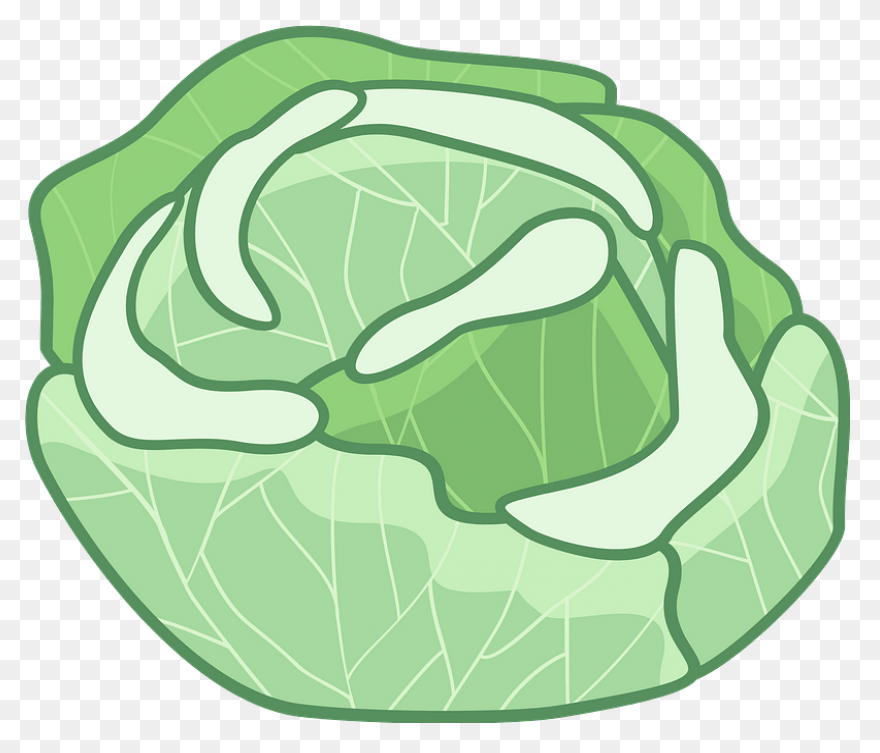 Cabbage Clipart | Clip Art, Free Cl