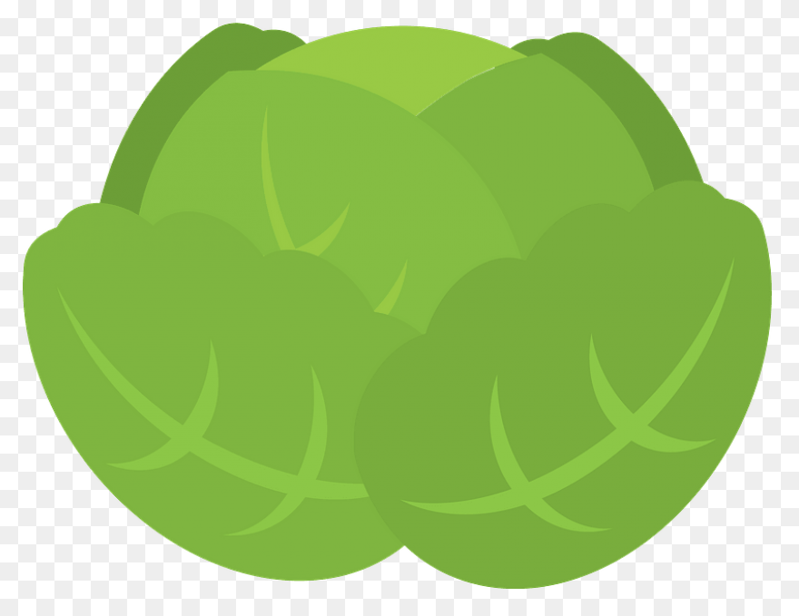 Cabbage Clipart | Clip Art, Free Cl