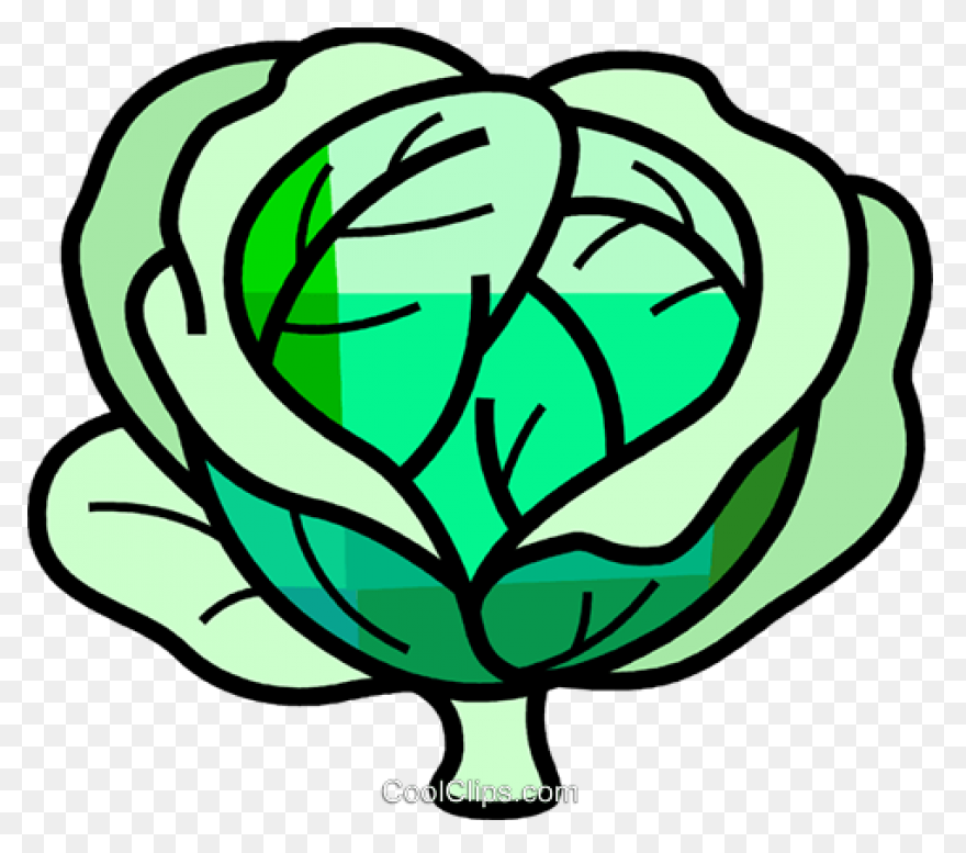 Cabbage Clipart | Clip Art, Free Cl