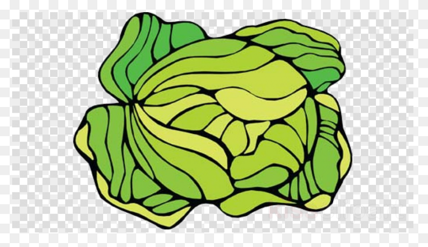 Cabbage Clipart | Clip Art, Free Cl