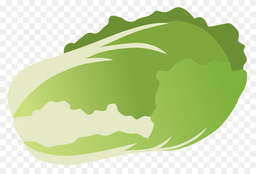 Cabbage Clipart | Clip Art, Free Cl