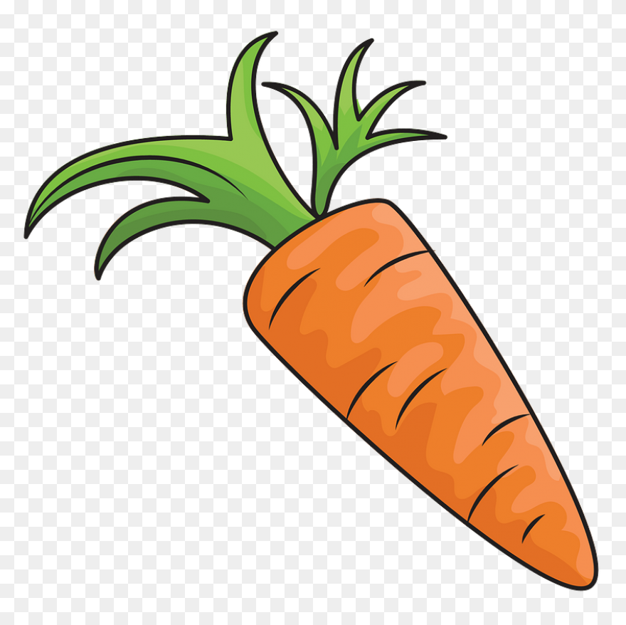 Orange Carrot | Free PNG-WebP