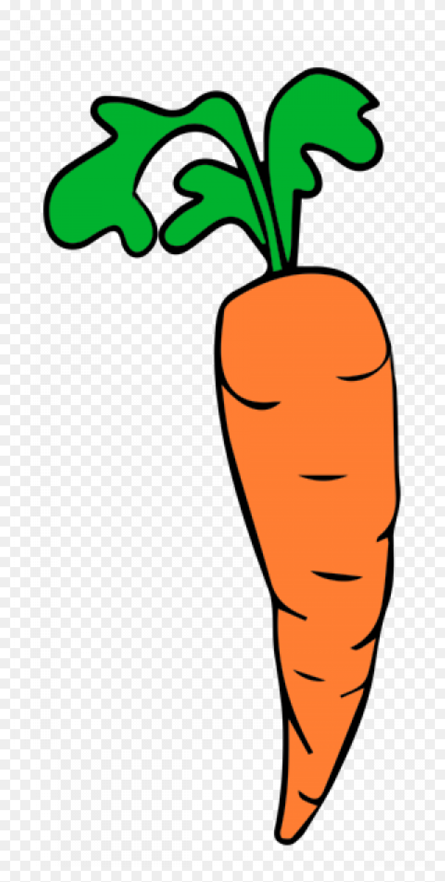 Orange Carrot | Free PNG-WebP