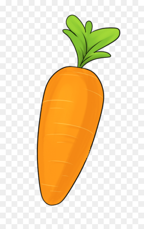 Orange Carrot | Free PNG-WebP