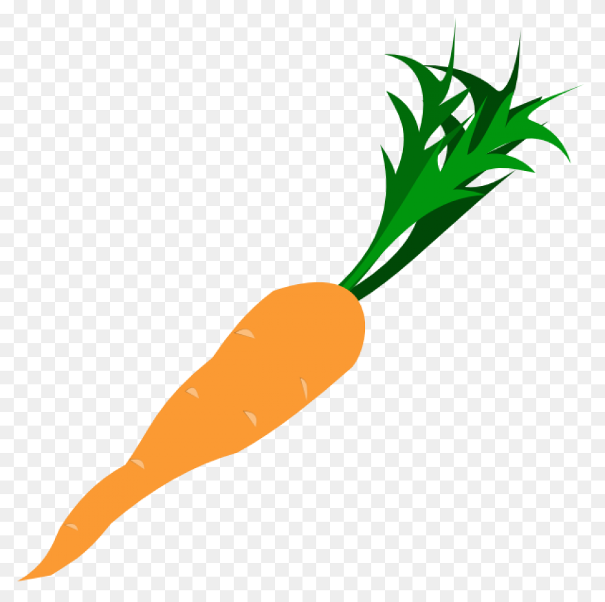 Orange Carrot | Free PNG-WebP