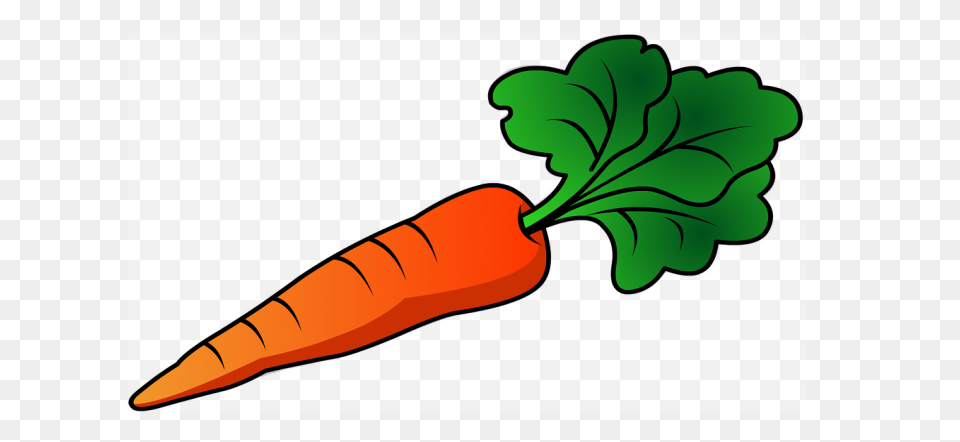 Carrot Vegetable Free Image On - Carrot