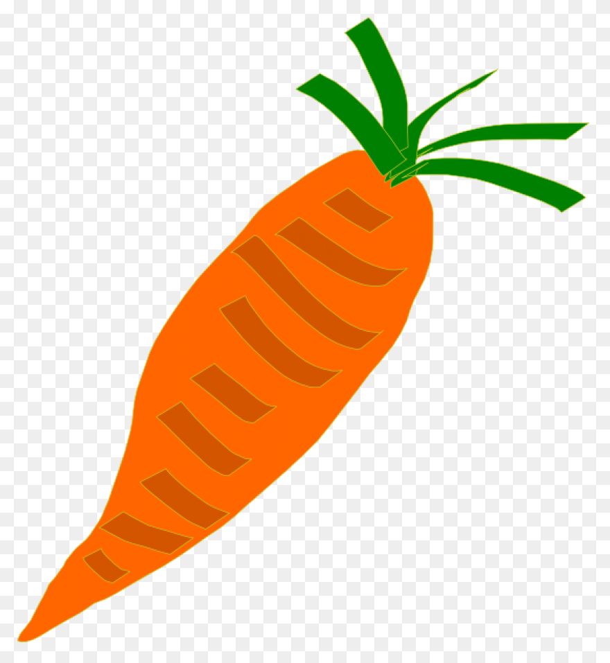 Orange Carrot | Free PNG-WebP