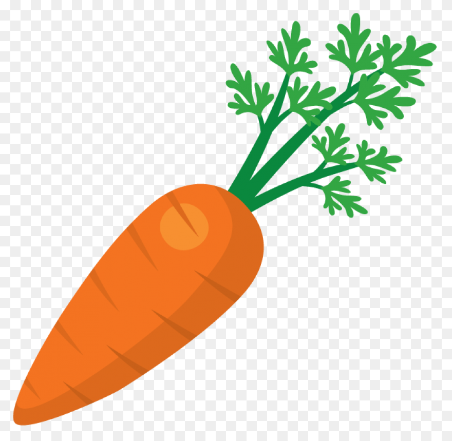 Orange Carrot | Free PNG-WebP