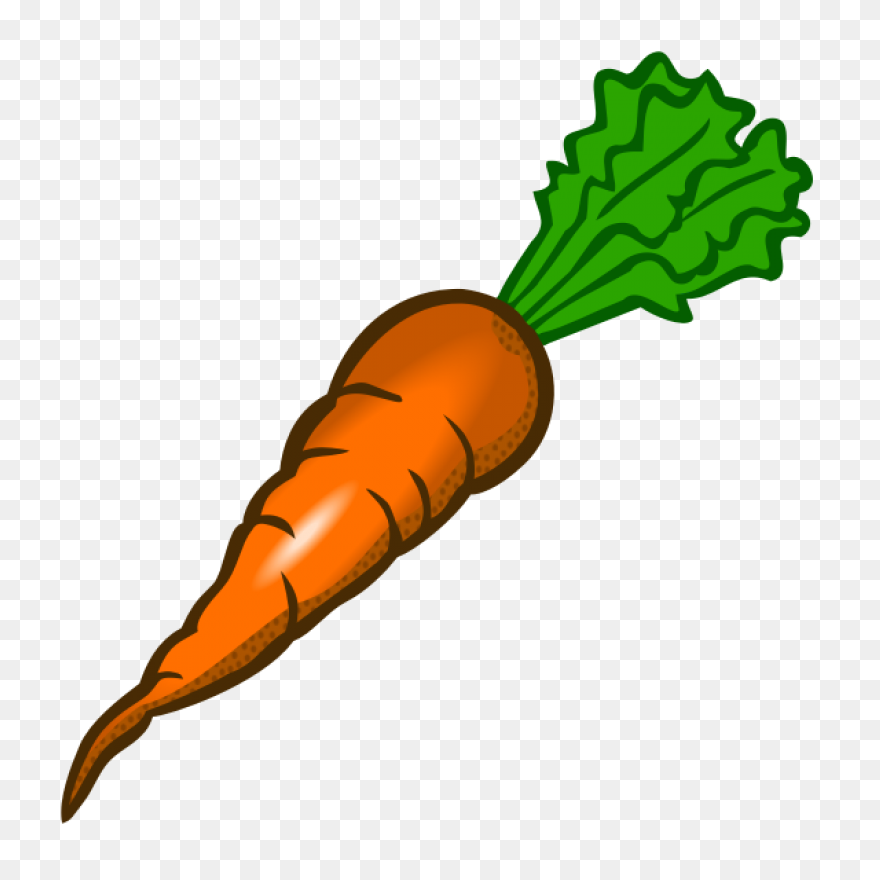 Orange Carrot | Free PNG - Carrot