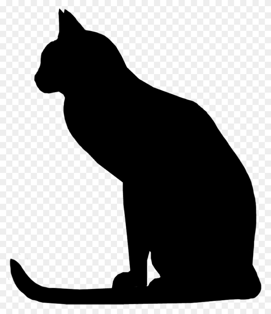 Standing Cat With Tail Curled Up St