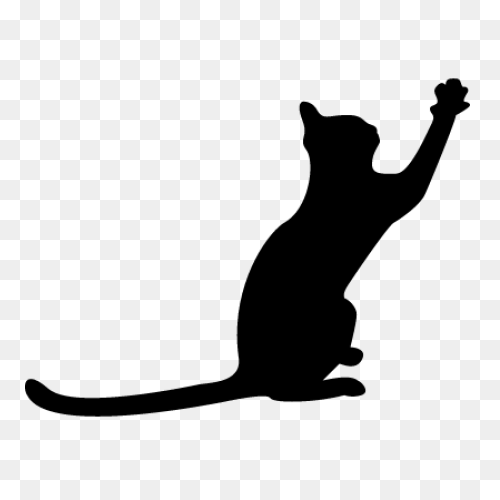 Standing Cat With Tail Curled Up St