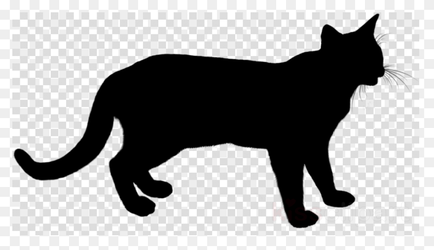 Standing Cat With Tail Curled Up St