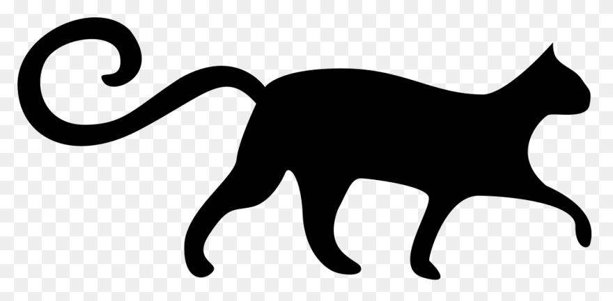 Standing Cat With Tail Curled Up St