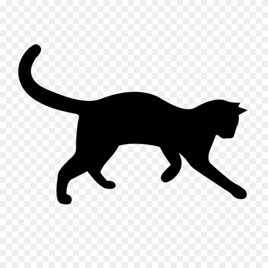 Standing Cat With Tail Curled Up St