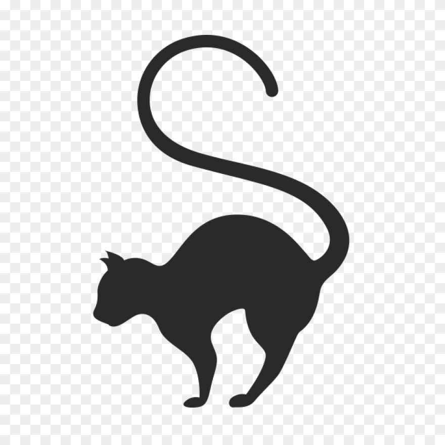 Standing Cat With Tail Curled Up St