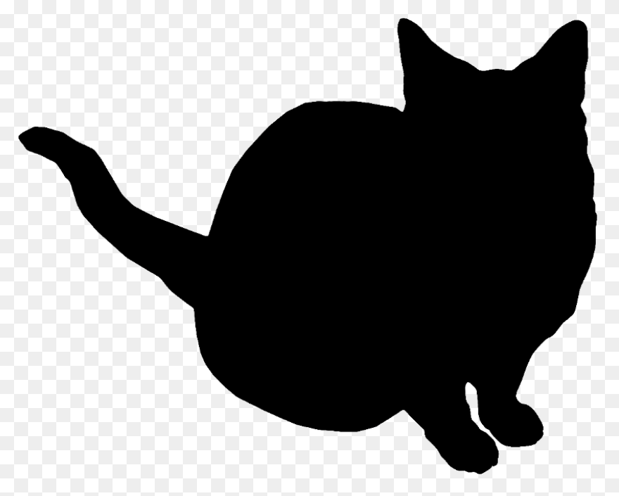 Standing Cat With Tail Curled Up St