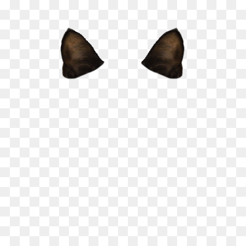 Soft Cat Ear Headband (Gear) | Unis