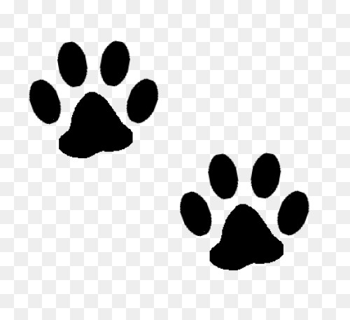 Dog Paw Print Line Art | Paw Print 