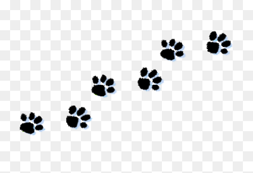 Dog Paw Print Line Art | Paw Print 