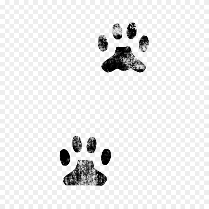 Dog Paw Print Line Art | Paw Print 