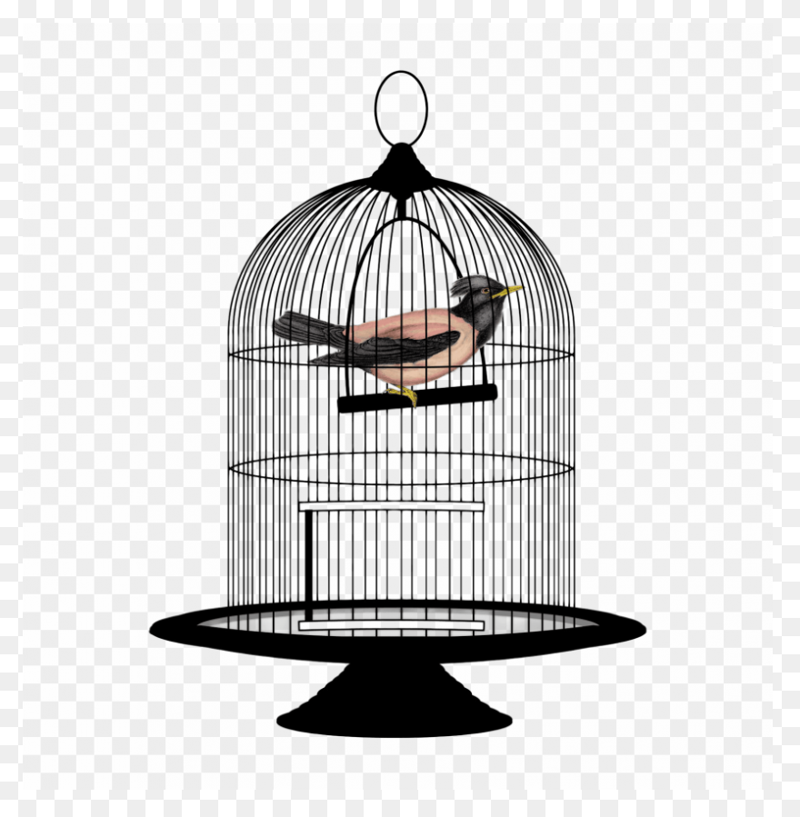 Free Cage Cliparts, Download Free C