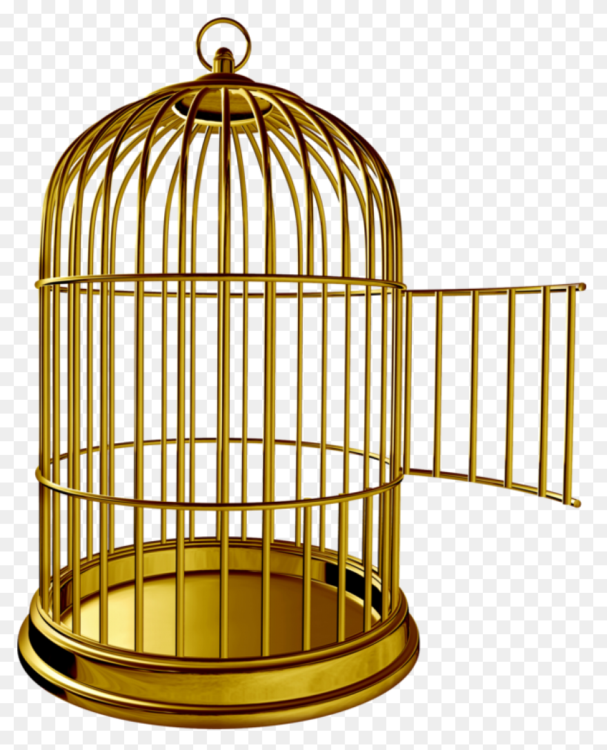 Free Cage Cliparts, Download Free C
