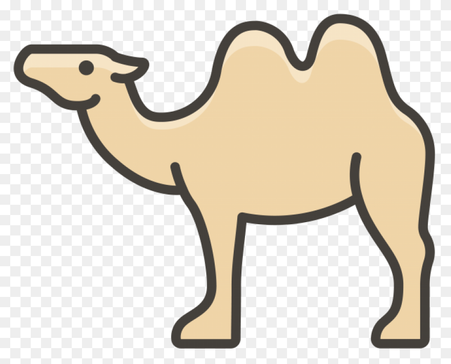 Alice The Camel: Lessons And Activi