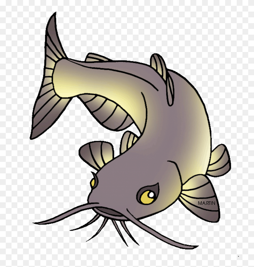 Animals Clipart By Phillip Martin - Catfish