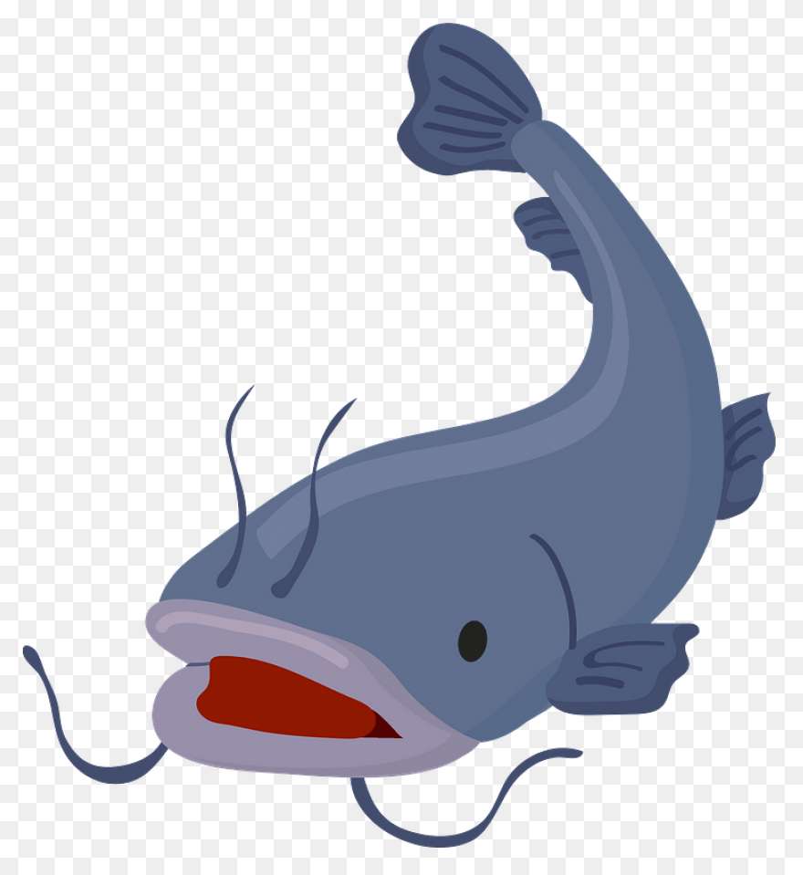 Catfish Clipart. Free Download .png - Catfish
