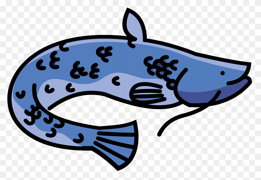 Animals Clip Art By Phillip Martin,
