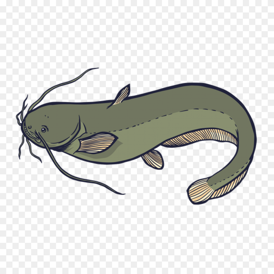 Animals Clip Art By Phillip Martin,