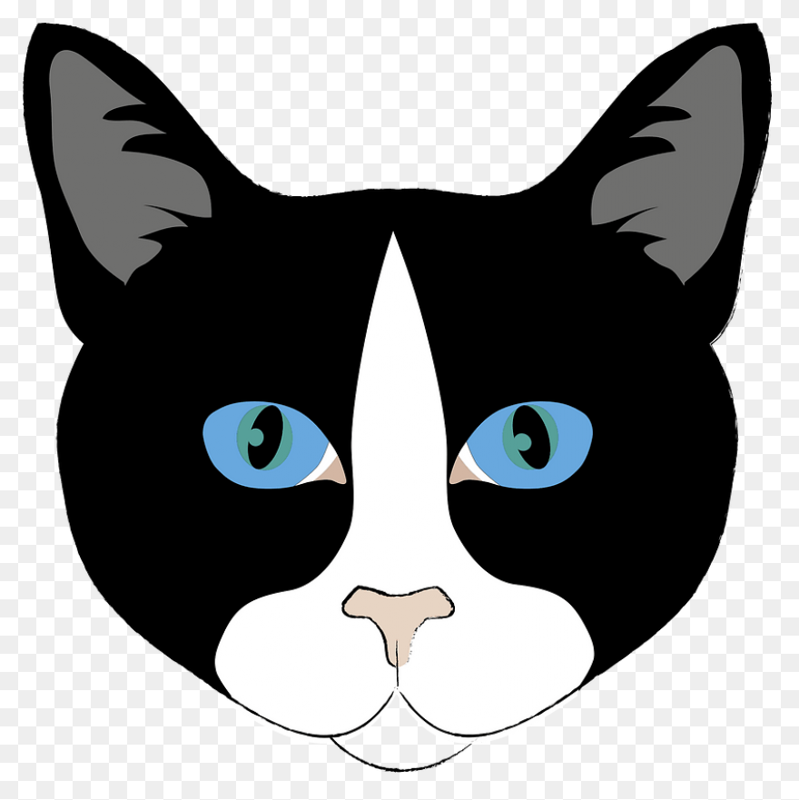 Witch Cat Head Transparent Png &amp