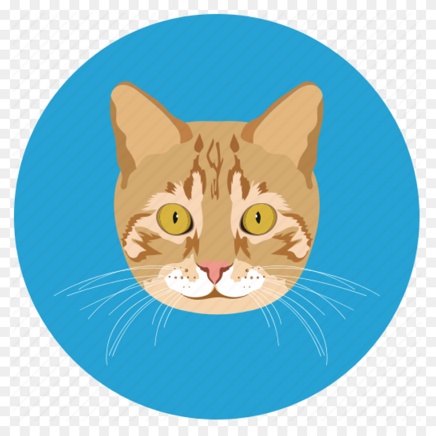 Witch Cat Head Transparent Png &amp