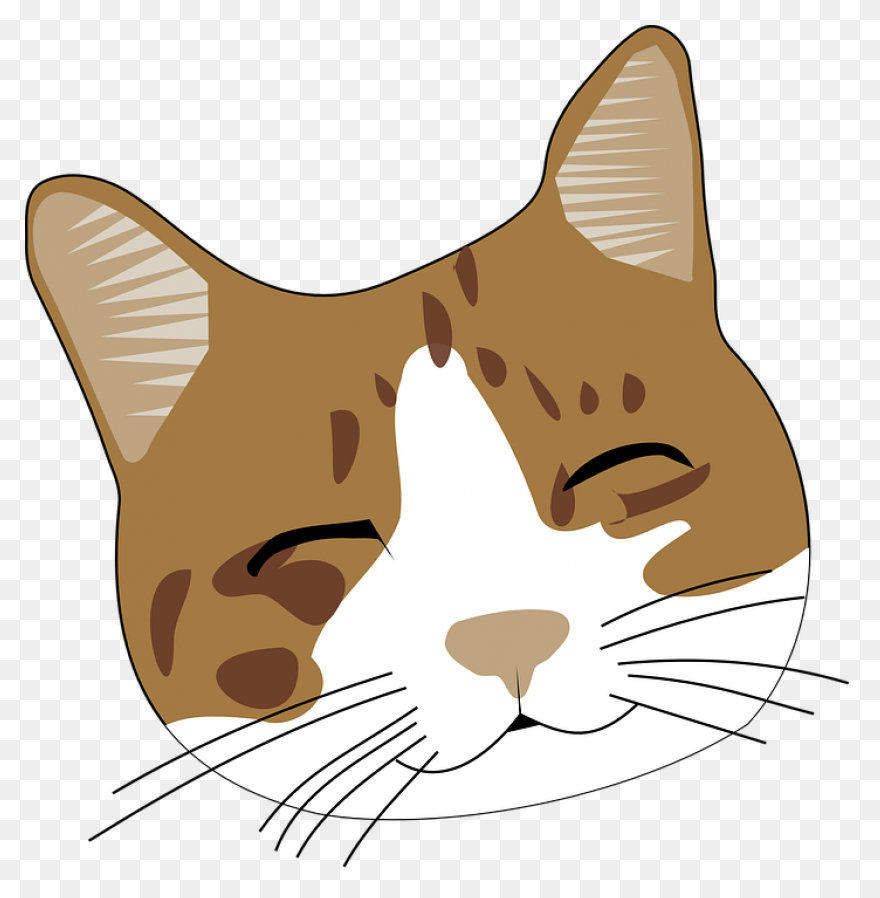 Witch Cat Head Transparent Png &amp