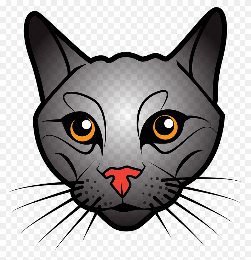 Witch Cat Head Transparent Png &amp