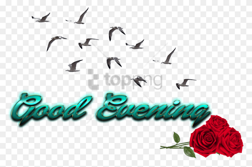 Png Text For Picsart, Text Png, Cb 